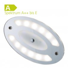 LED Taklampa Oval